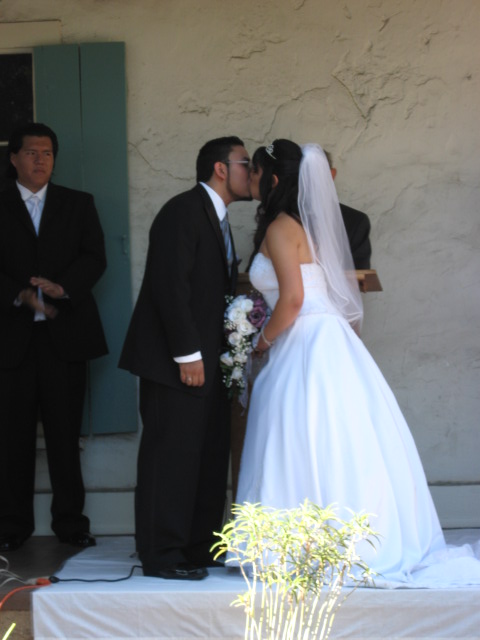 457x616 pixels (72K)